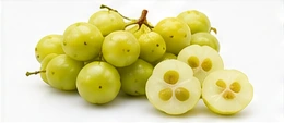 Fresh Jimbilin tropical fruit – IslandFruitGuide