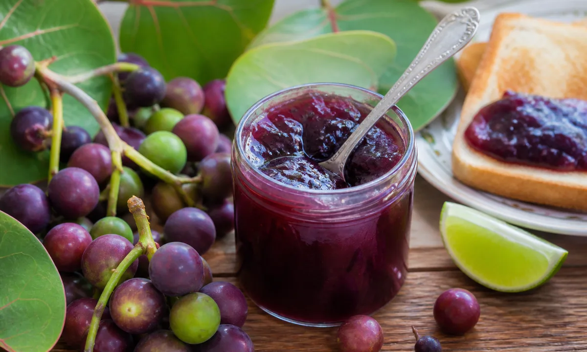 Caribbean Sea Grape Jelly – IslandFruitGuide Recipe